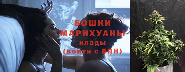 ECSTASY Богданович