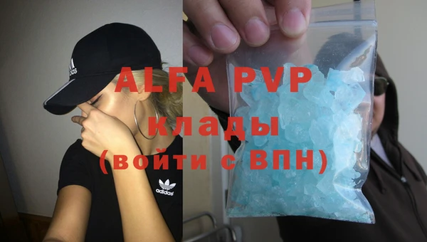 ECSTASY Богданович