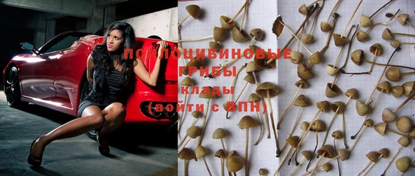 ECSTASY Богданович