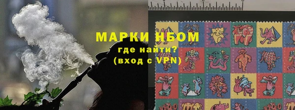 ECSTASY Богданович